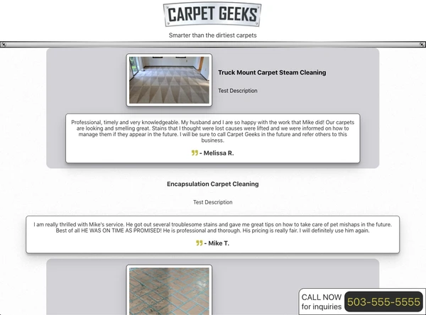 The Carpet Geeks home page with carpet cleaning services, customer reviews, and a "Call now" banner.
